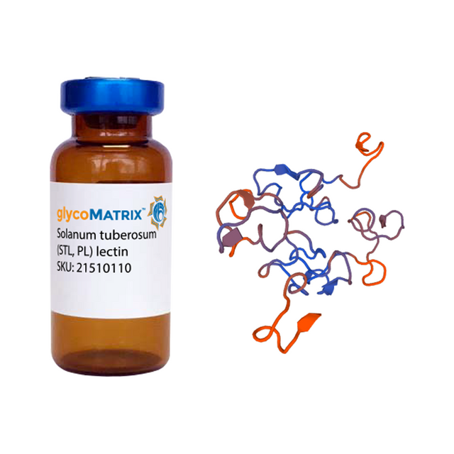 Solanum tuberosum Lectin (STA/STL) - Pure