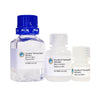 GlycoBind Binding Buffer - WFA/WFL