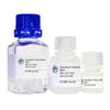 GlycoElute Elution Buffer - WGA